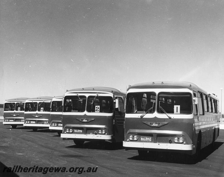P00453
Railway Road Service Hino buses, line up of five buses, front and side view, Kewdale (explanatory note on the rear of the print)
