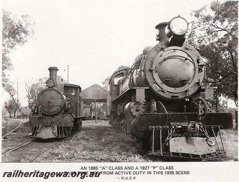 P00641
A class and P class, loco depot, Midland, front on views
