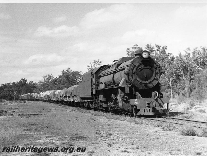 P00738
V class 1212, between Bowelling and Collie, BN line, goods train
