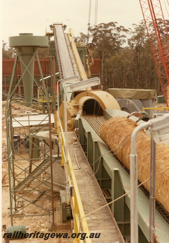 P01625
Wood chip mill, Manjimup, log on conveyor belt to the chipper
