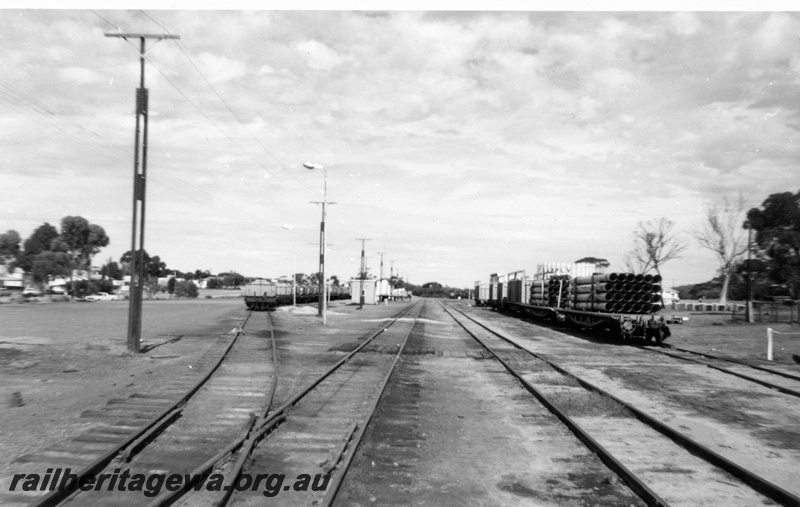 P01855
Yard with wagons in the sidings, Widgiemooltha, CE line, view down the yard.
