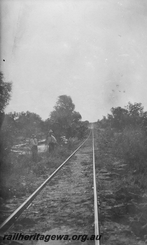 P01989
Track, PM line view along the line
