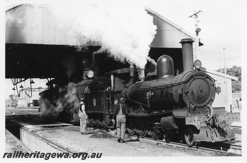 P02227
G class 123, FS class 491, loco depot, Collie, BN line, side and front view
