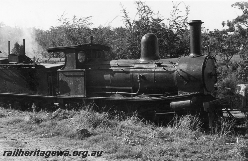 P02785
Adelaide Timber Co. loco Y 71, East Witchcliffe, side and front view, 
