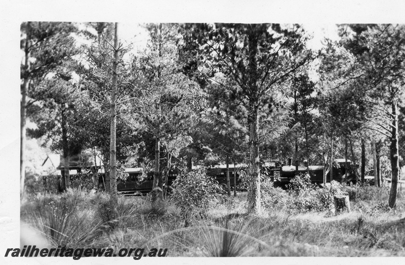 P02802
N class 4-4-4T loco, Mundaring Weir station, MW line, side view of train through the trees
