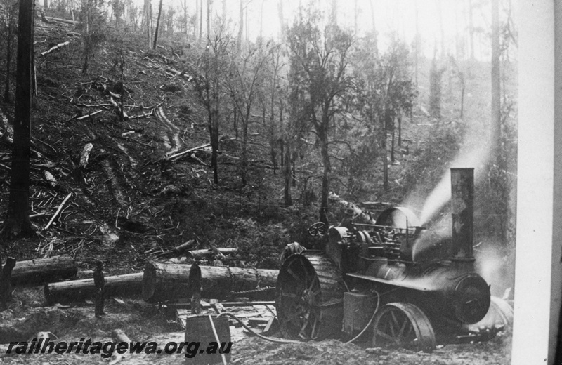 P02875
Steam traction engine hauling and loading logs at a bush log landing, Denmark.
