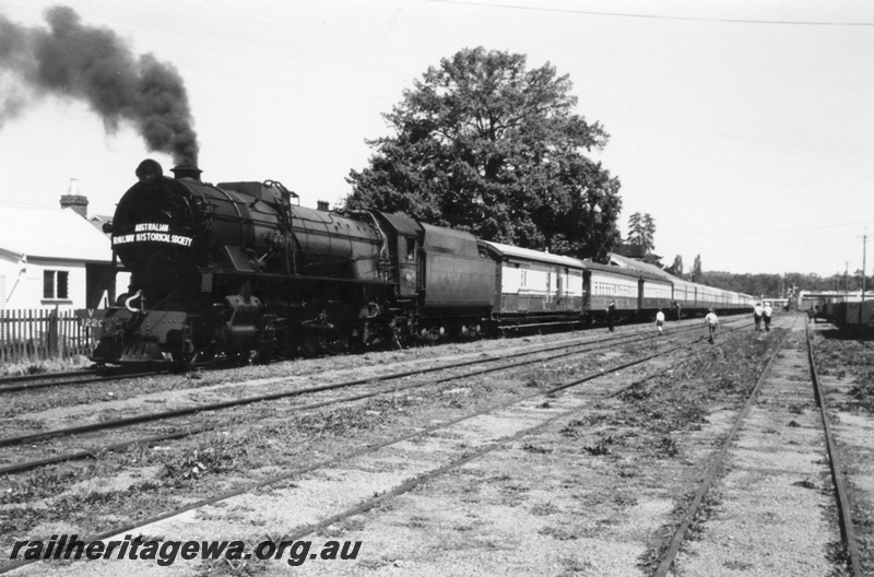 P02902
V class 1220 steam locomotive on ARHS special train, front and side view, Donnybrook, PP line.
