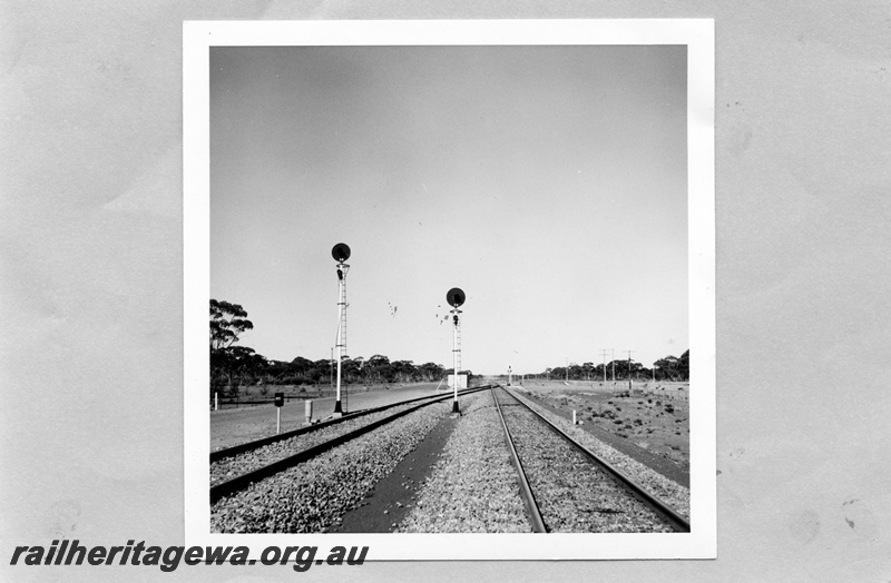 P03130
Searchlight signals Nos.5A and 5B, Bonnie Vale, view looking along the track.
