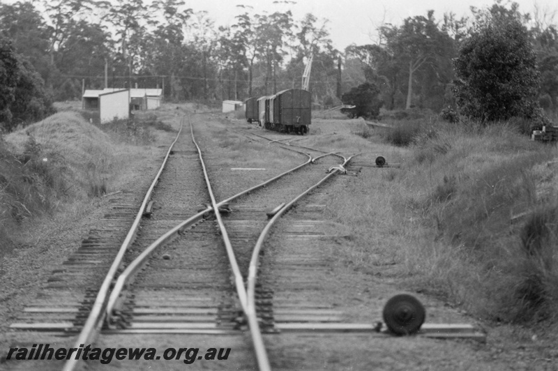 P03318
Station yard, cheese knobs, scotch blocks, out of shed, platform crane, Northcliffe, PP line, view along the track.
