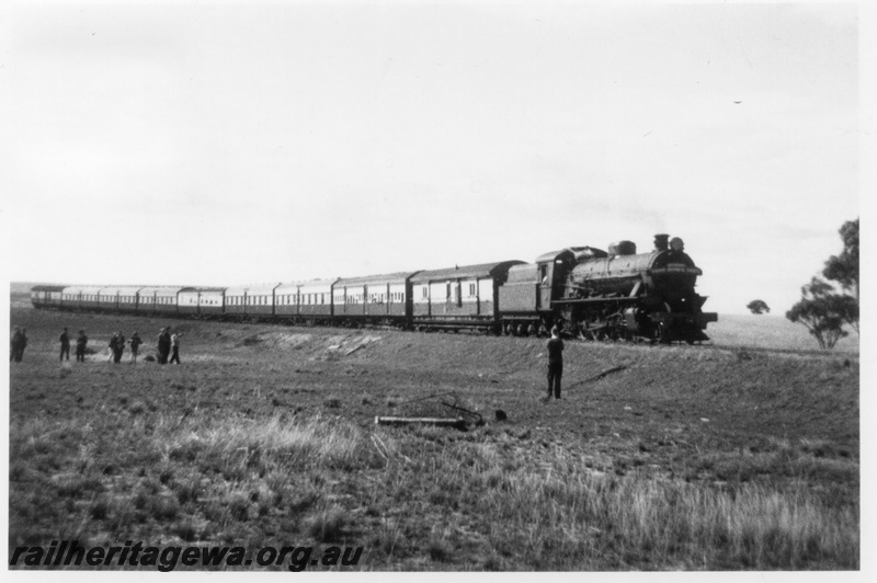 P03371
W class 904ARHS tour train to Amery, photo stop west of Dowerin, GM line
