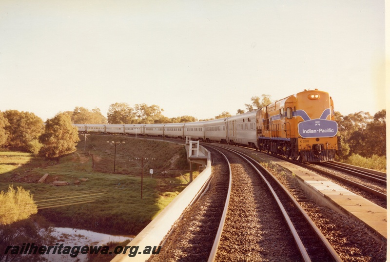 P03819
1 of 2 photos of K class 208, Westrail orange with blue and white stripe, on 