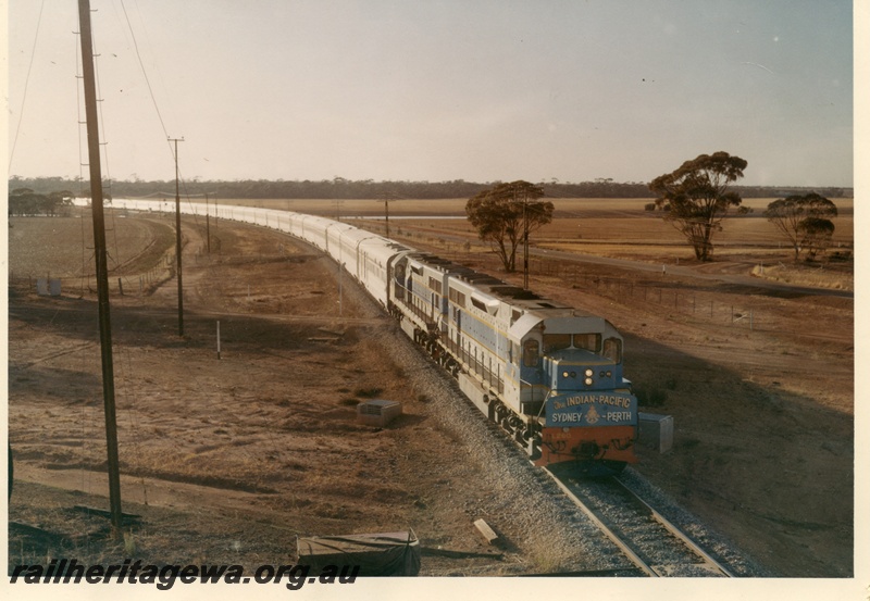 P04163
2 of 3, L class 260 and L class 261 diesel locomotives on the inaugural 
