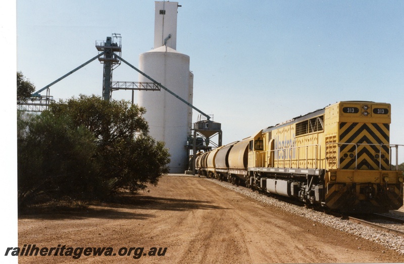 P04302
Q class 313 diesel locomotive in Westrail yellow with black chevrons livery, side and front view, loading grain at Carrabin, EGR line.
