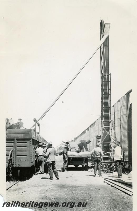 P06778
RBW class, grain elevator, wheat bin, Cunderdin, EG line, loading grain into wagons
