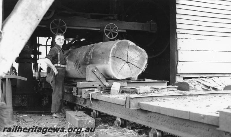P08237
Timber worker with log on trolley about to be sawn

