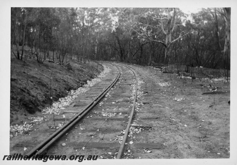 P08264
Track distorted from effects of bushfire, Boranup on the closed Flinders Bay line, BB line

