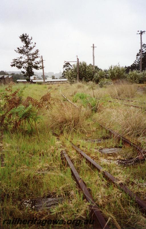 P08375
Overgrown track in sawmill end of yard, Northcliffe, PP line

