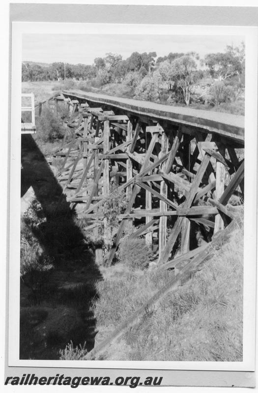 P09497
MRWA style trestle bridge, Mogumber, view from alongside abutment. MR line.
