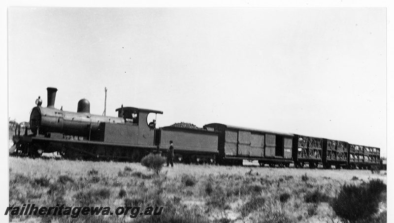 P10971
O class 186 on goods train including van and livestock wagons, bush setting, front and side view
