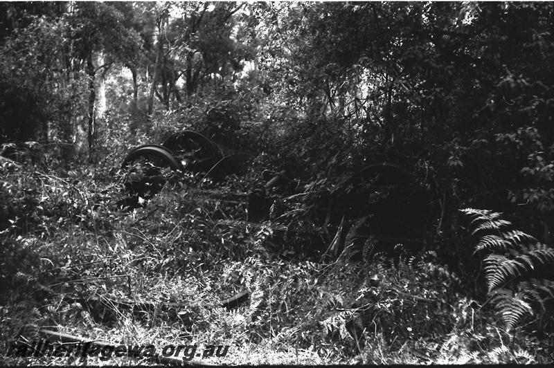 P11130
Upturned and abandoned 4 wheel wagon, Pemberton, wagon covered with the undergrowth 
