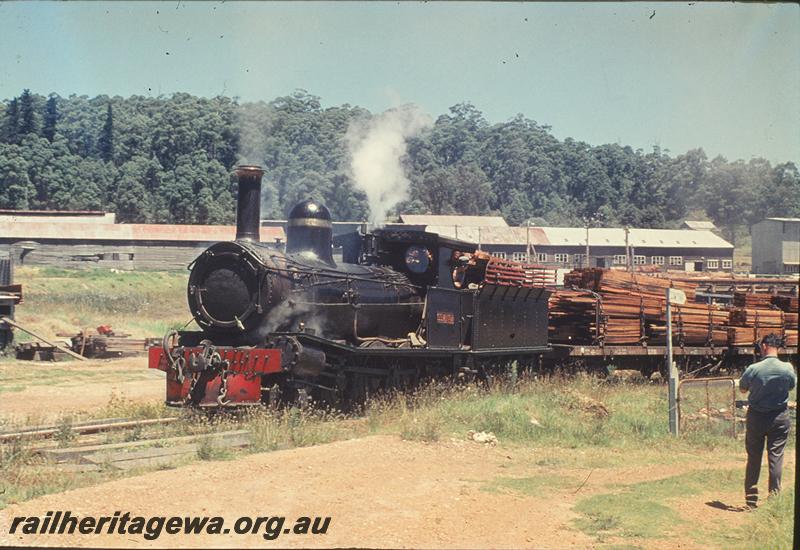 P11807
SSM 7 hauling wagons loaded with sawn timber, the loco has its buffer beam and cowcatcher painted red, mill in background.
