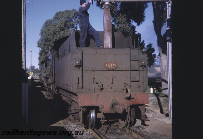 P12837
W class 909 coupled to another W class, rear view of tender, Kojonup, DK line, driver Ron Williams filling the tender with water. 
