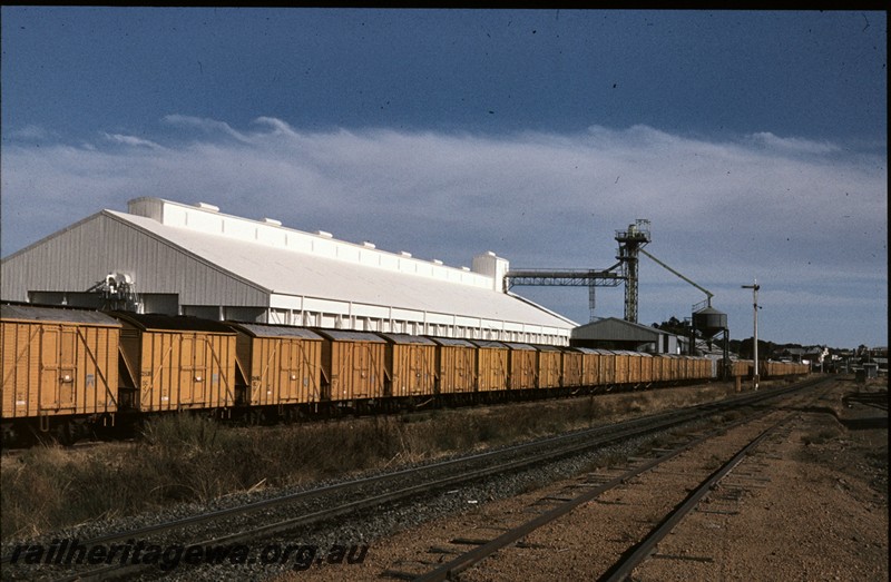 P13281
DC class wagons, wheat bin, Narrogin, GSR line, long line of wagons.
