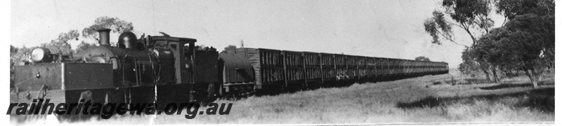 P13620
M class Garratt with train of sheep wagons on the 