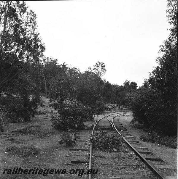 P13962
Trackwork, leading into the yard, Chadoora, PN line, overgrown with vegetation
