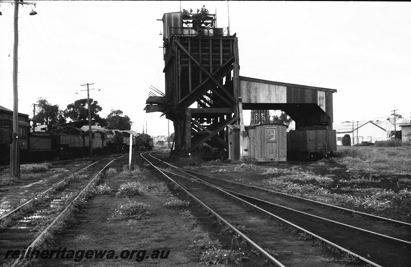 P14025
Coal stage with the unloading shed, Northam loco depot, ER line, end view facing the coaling track

