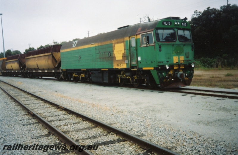 P15315
NJ class 5 in green and yellow livery, on goods train, Albany, GSR line
