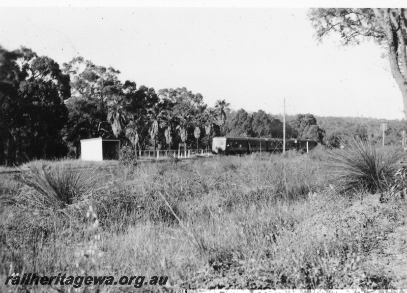 P15746
Station building, Hovea, ER line, row of palm trees adjacent to the structure, end view of an ADU class carriage on a Wildflower railcar set having passed the station heading eastwards.
