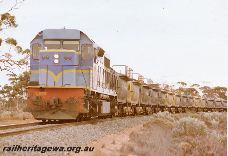 P15902
L class 275, in light blue with dark blue and yellow stripe, on nickel train, rural setting, front and side view
