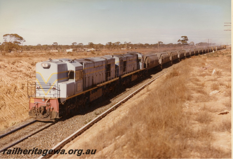 P15912
KA class 212, with another diesel loco, both in light blue with dark blue and yellow stripe livery, double heading a nickel train from Windarra and Malcolm, standard gauge KL line, front and side view
