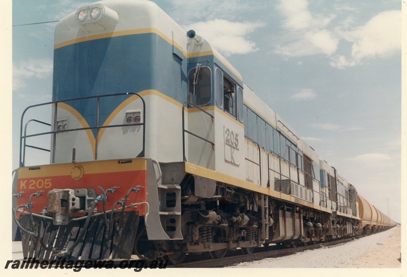 P15915
K class 205, in light blue with dark blue and yellow stripe, on freight train, Merredin, EGR line, front and side view
