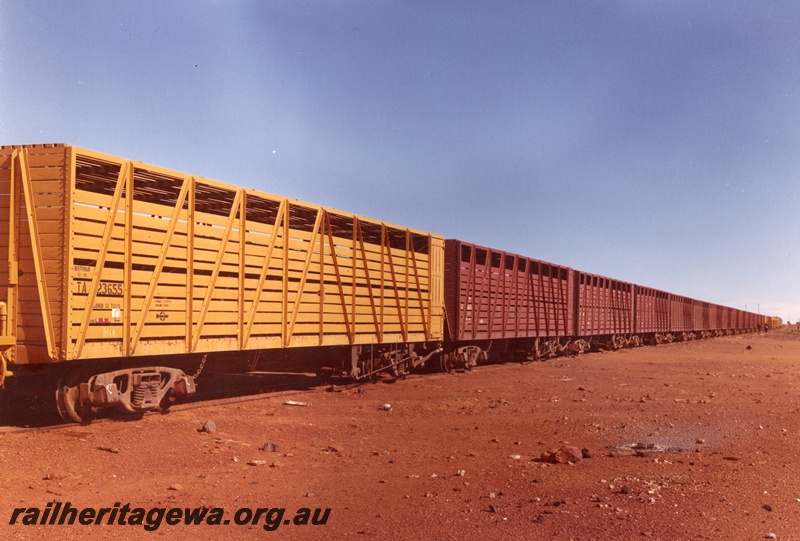 P16047
Rake of TA class cattle wagons including TA class 23655 in yellow paint, end and side view
