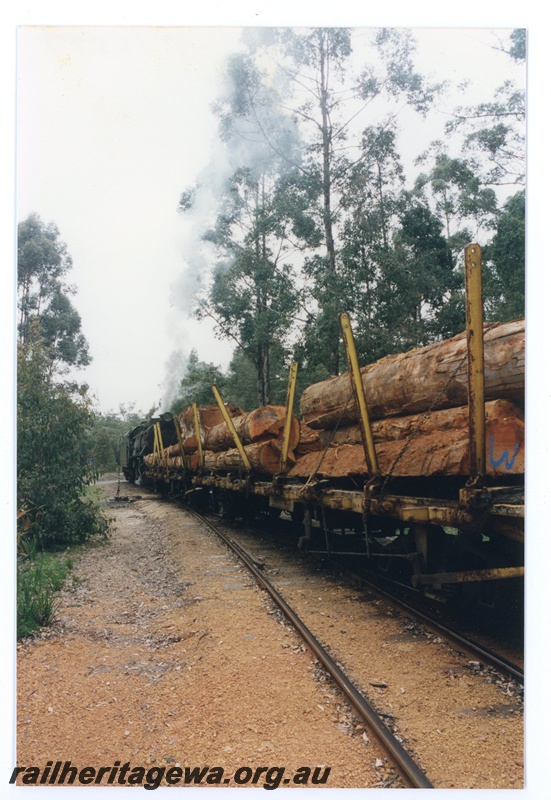 P16577
V class 1213, shunting rake of wagons loaded with logs, forest, Pemberton Tramway, side view
