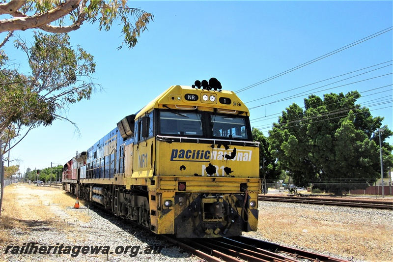 P16785
Pacific National NR class 1 with Mineral Resources loco MRL 001 waiting to enter the site of the Rail Transport Museum, heading towards UGL's plant, Bassendean, mainly a front view
