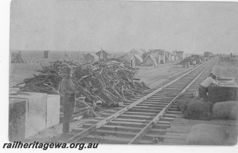 P16799
Commonwealth Railways (CR) - TAR line railway construction camp at the western end of the line. C 916
