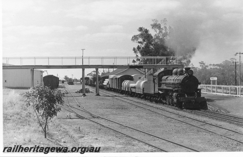 P17037
PR class 521 Ashburton, working No. 17 Goods York to Narrogin, on the main line at Pingelly on the GSR line. Note the footbridge and goods shed in background.
