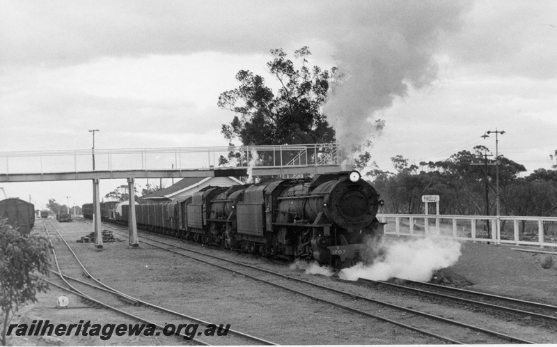P17235
V class 1207 and V class 1212, double heading goods train, overhead pedestrian bridge, station building partly obscured, Pingelly, GSR line
