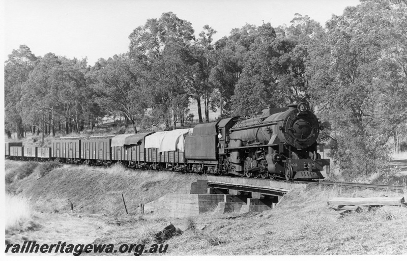 P17338
V class 1203 steam locomotive, on goods train, crossing bridge at Dead Tree Curve, side and front view, BN line.
