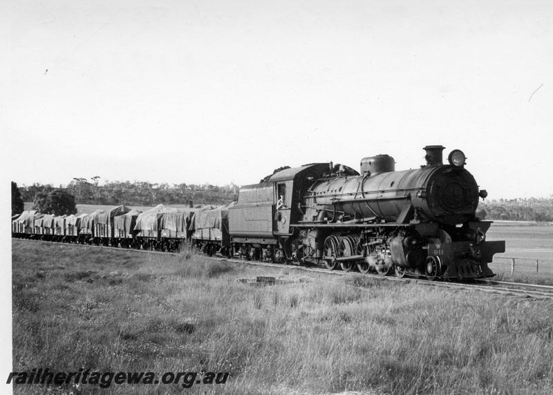 P17344
W class 911 steam locomotive, side and front view, on goods train, BN line.
