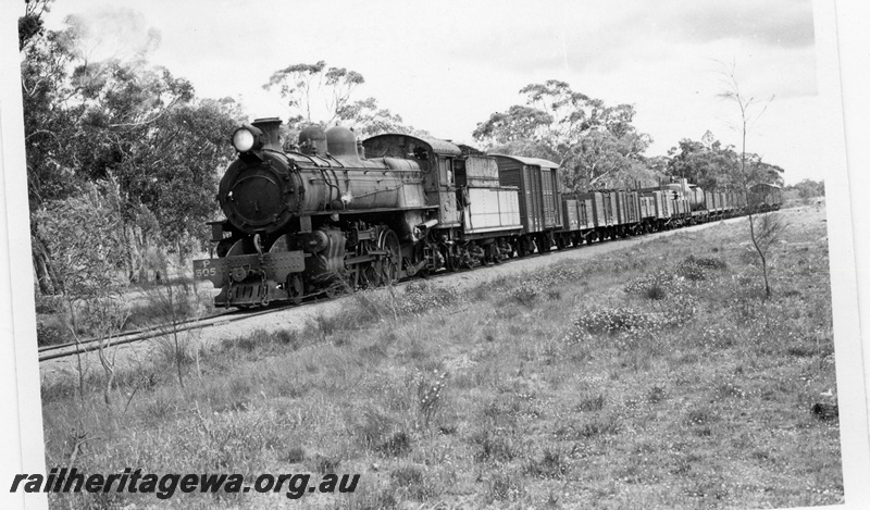 P17346
P class 505 steam locomotive, on goods train, front and side view, between Williams and Narrogin, BN line.
