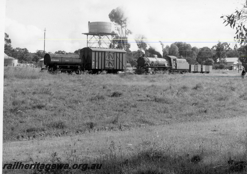 P17353
1 of 2, W class 905 steam locomotive, front and side view, on goods train, shunting, Duranillin, WB line.

