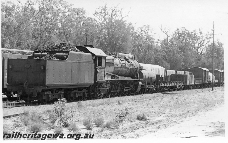 P17379
S class 542 steam locomotive, crossing 104 Goods at Shotts siding. BN line. Rear view of tender . 
