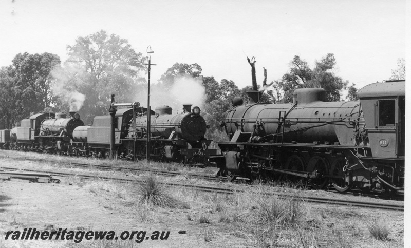 P17384
W class 911 steam locomotive, working special to Wagin, crossing W class steam locomotives 919 & 914 on 54 Goods at Bowelling Junction. WB/BN lines. Yard light pole and water column next to locomotives. 

