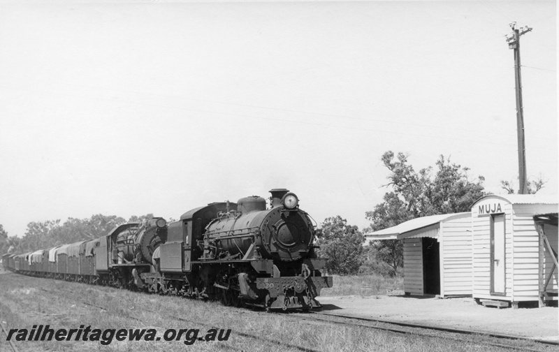 P17386
W class 920 & S class 546 steam locomotives at the head of 104 Goods from Narrogin. The train is arriving at Muja siding. Note station buildings, out-of-shed and tank stand. BN line.
