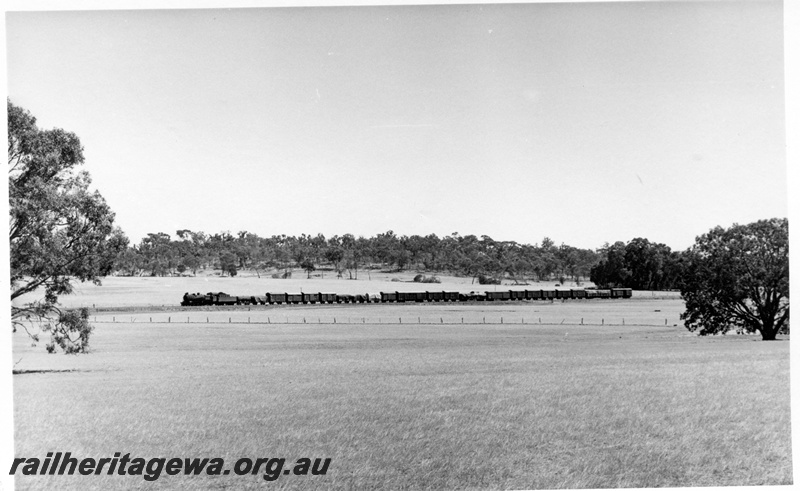 P17389
PMR class 723 steam locomotive on 108 Goods from Narrogin to Collie. Location Unknown. BN line. Distant view of entire train.

