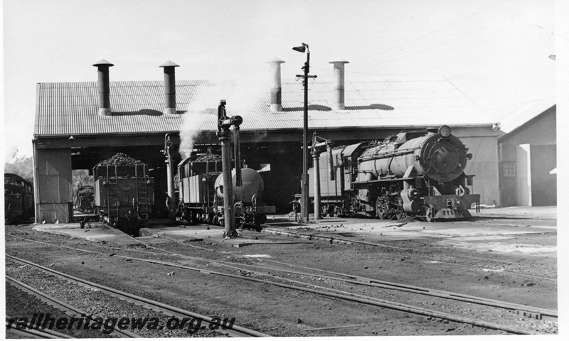 P17490
PR class, PMR class PM class 714 and V class 1210 at Narrogin Loco. GSR line. Note exhausts on roof of shed, water columns in front and electric light pole,
